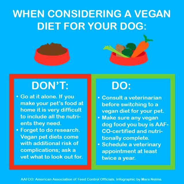 can dogs be vegan