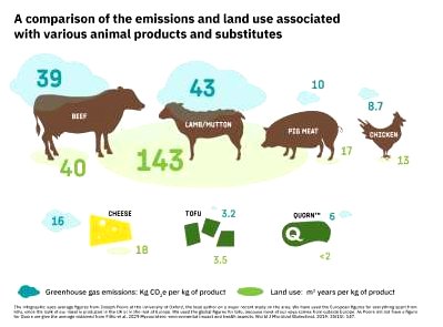 do humans need to eat meat to survive