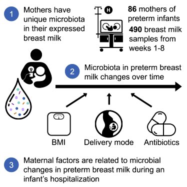 is breast milk vegan