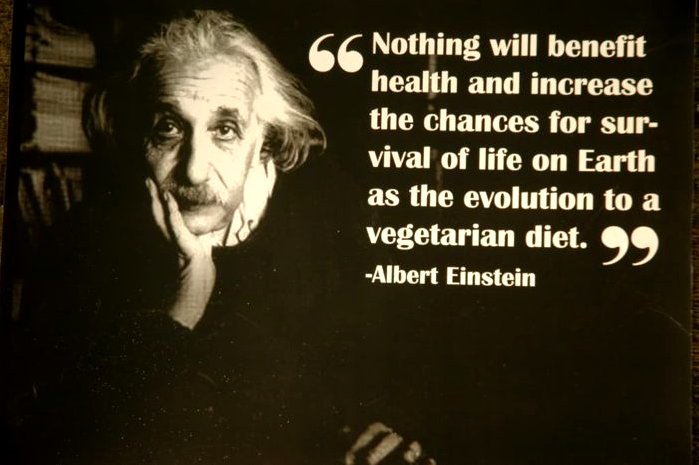 was einstein a vegan