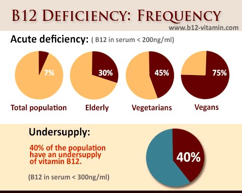 what food is highest in vitamin b12