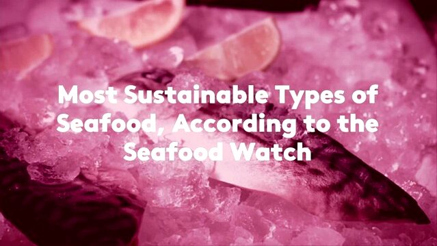 what seafood is the healthiest