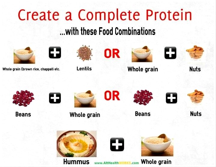 which food has highest protein