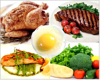 which food has highest protein