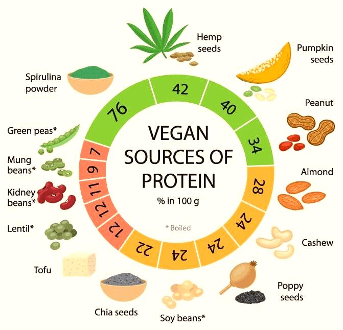 which vegetable has the most protein